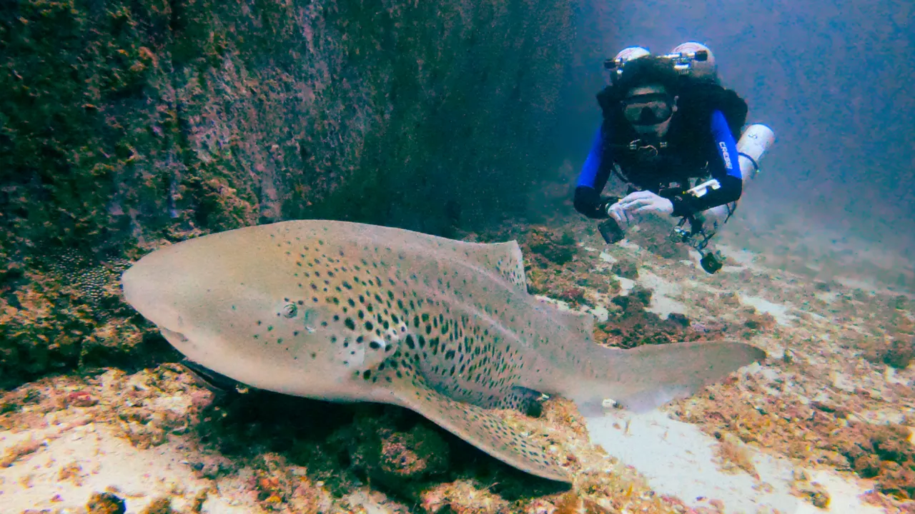 PADI Tec 45 Course Phuket