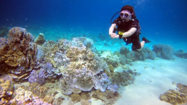 Diving Racha Noi from Phuket during coral bleaching June 2024