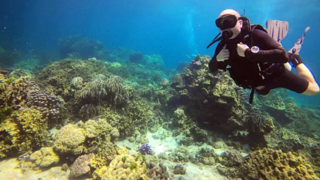 Diving from Phuket on Racha Noi's hard coral reefs