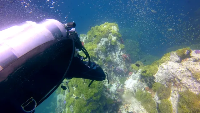 Sidemount Tank Rigging Setup Attached To Harness Waistband D-Ring