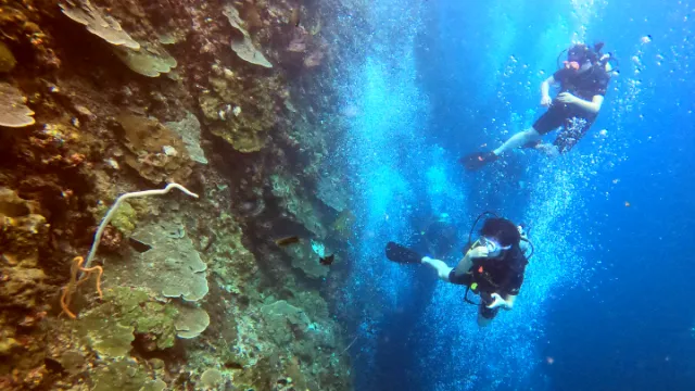 Sidemount Tank Rigging Setup Attached To Harness Waistband D-Ring