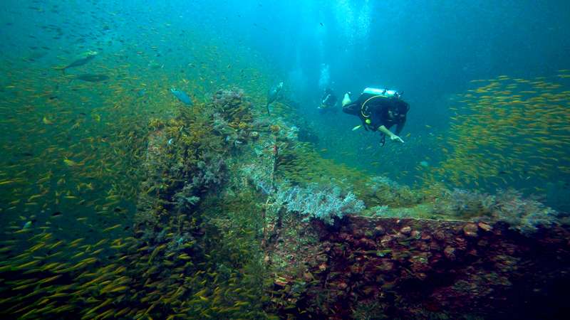 Diving King Cruiser Wreck from Phuket