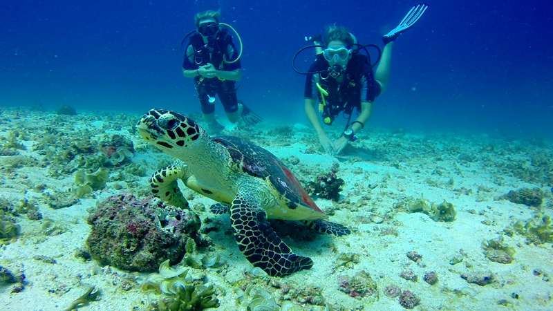 Diving the Racha Islands from Phuket