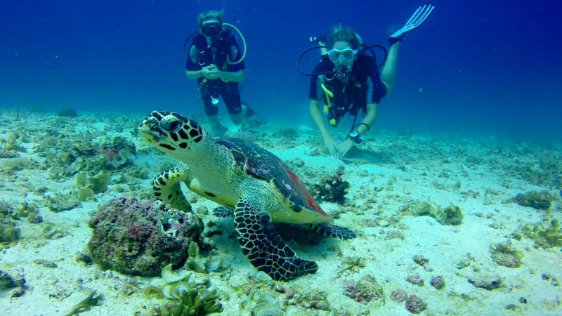 Racha Islands Phuket Diving Tour