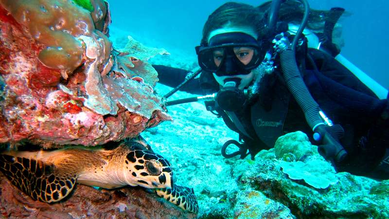 Diving at the Racha Islands on one of Phuket diving tours