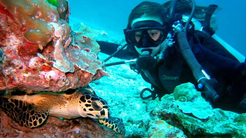 Phuket diving tour at Racha Islands