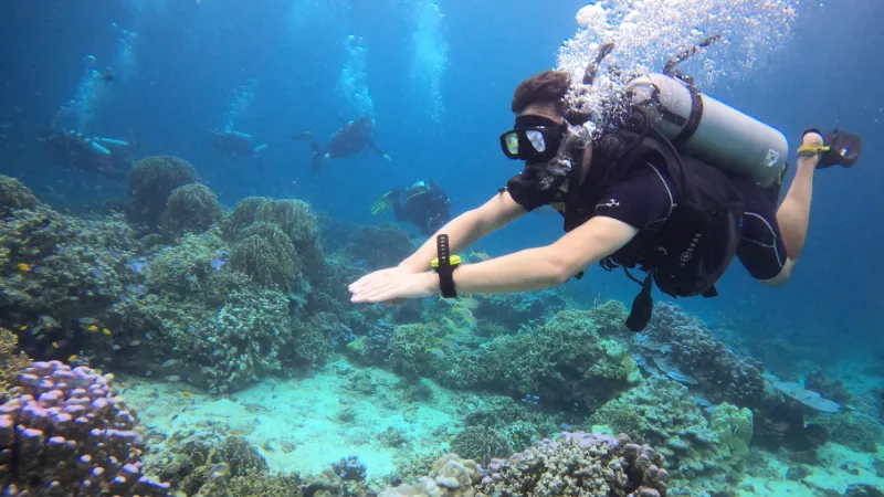 Phuket scuba diving courses for beginners